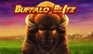 buffalo blitz